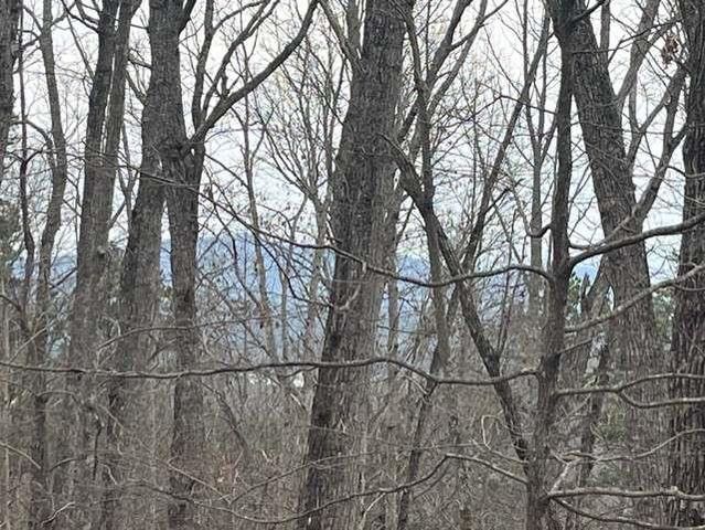 0 Brumby Run, Blairsville, GA 30512
