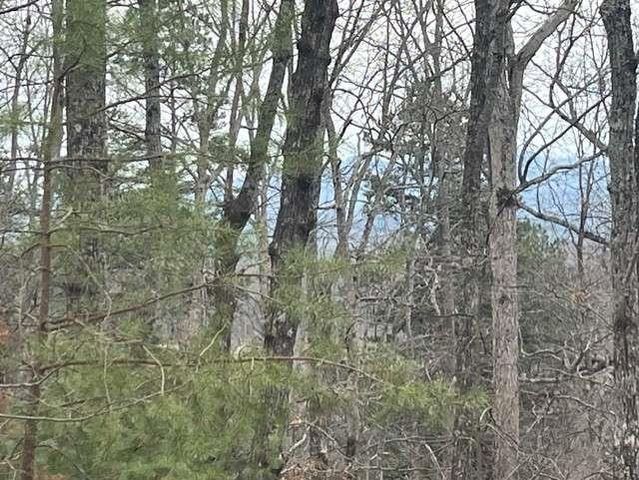 0 Brumby Run, Blairsville, GA 30512