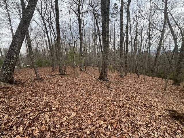 0 Brumby Run, Blairsville, GA 30512