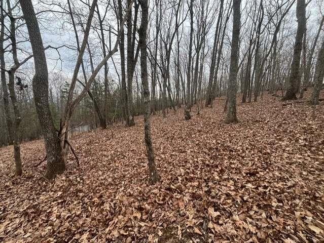 0 Brumby Run, Blairsville, GA 30512