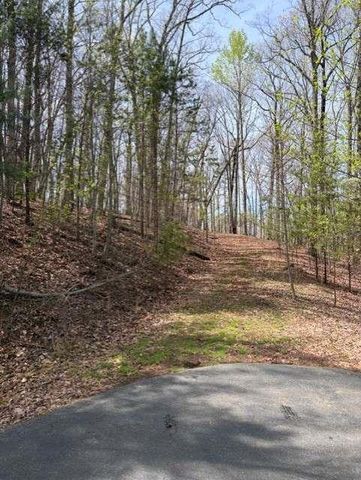 0 Brumby Run, Blairsville, GA 30512