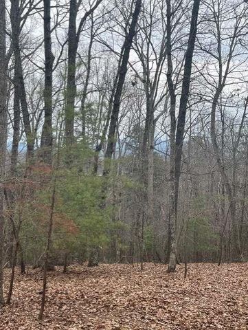 0 Brumby Run, Blairsville, GA 30512