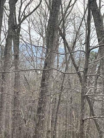 0 Brumby Run, Blairsville, GA 30512