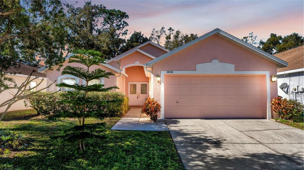 34501 SMART DRIVE, Zephyrhills, FL 33541