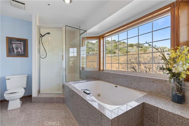 5419 Clanfield, Acton, CA 93510