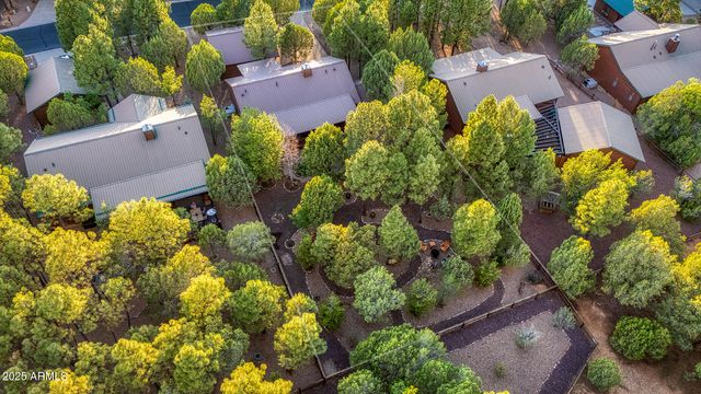 4951 W Stage Coach Trail, Show Low, AZ 85901