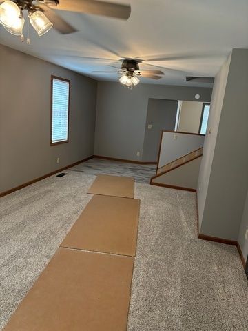 308-312 Chicago Avenue, Ladd, IL 61329