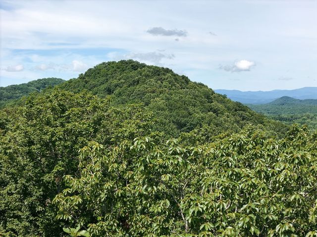 Lot 7 Scouts Overlook, Morganton, GA 30560