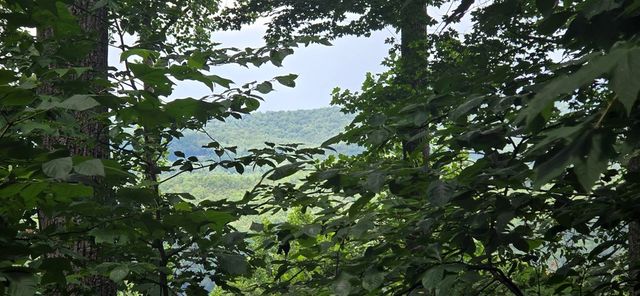 Lot 7 Scouts Overlook, Morganton, GA 30560
