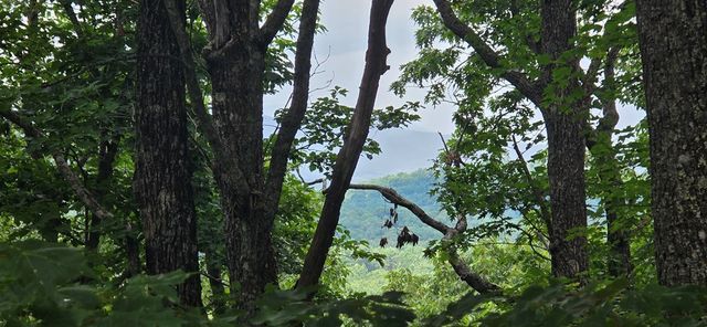 Lot 7 Scouts Overlook, Morganton, GA 30560