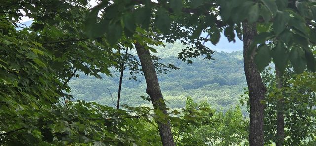 Lot 7 Scouts Overlook, Morganton, GA 30560