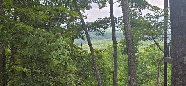 Lot 7 Scouts Overlook, Morganton, GA 30560