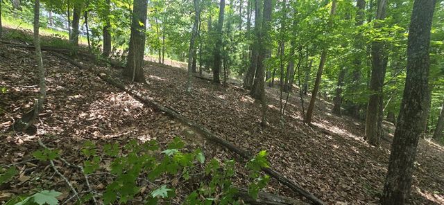 Lot 7 Scouts Overlook, Morganton, GA 30560