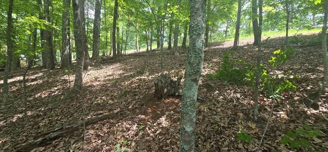 Lot 7 Scouts Overlook, Morganton, GA 30560