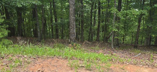Lot 7 Scouts Overlook, Morganton, GA 30560