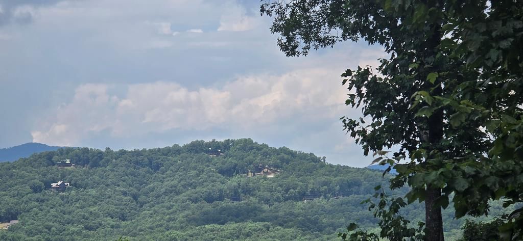 Lot 7 Scouts Overlook, Morganton, GA 30560