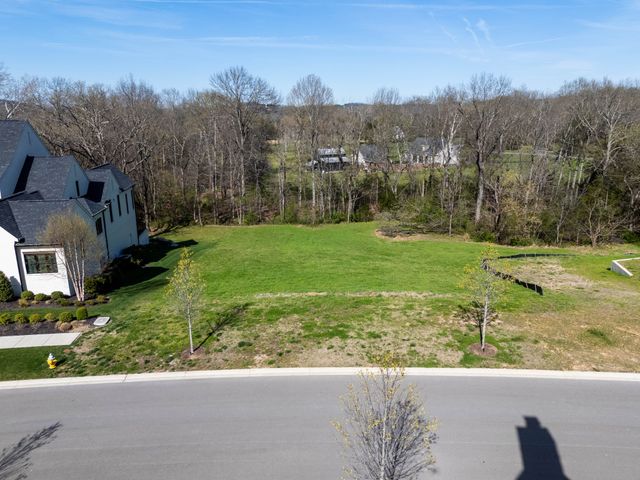 9040 Passiflora Ct, College Grove, TN 37046