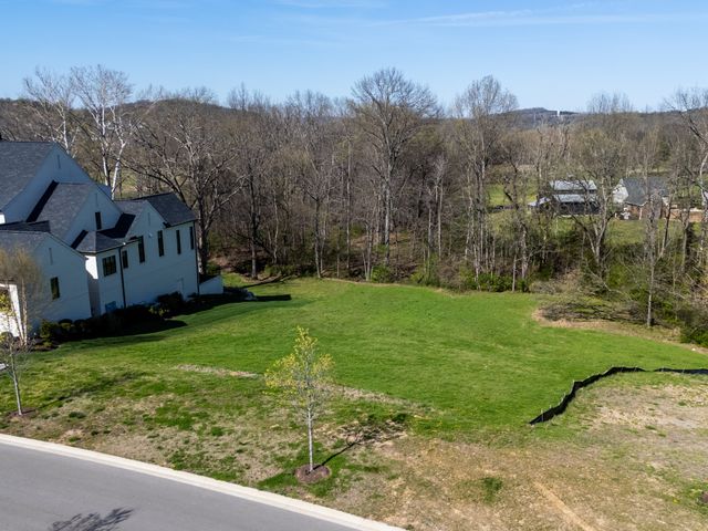 9040 Passiflora Ct, College Grove, TN 37046