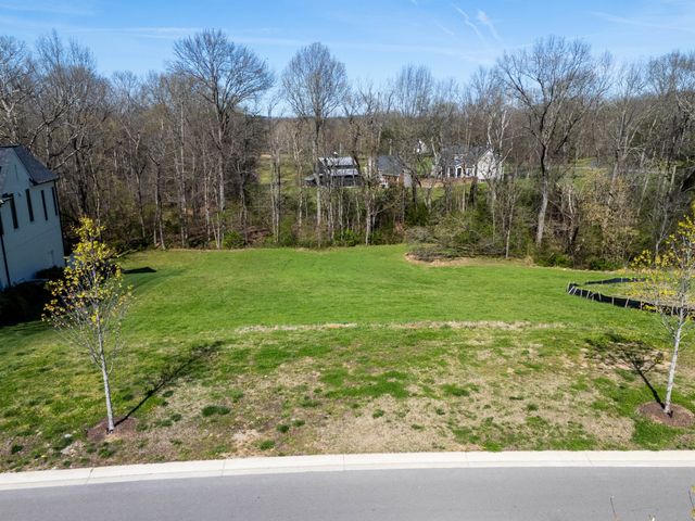 9040 Passiflora Ct, College Grove, TN 37046