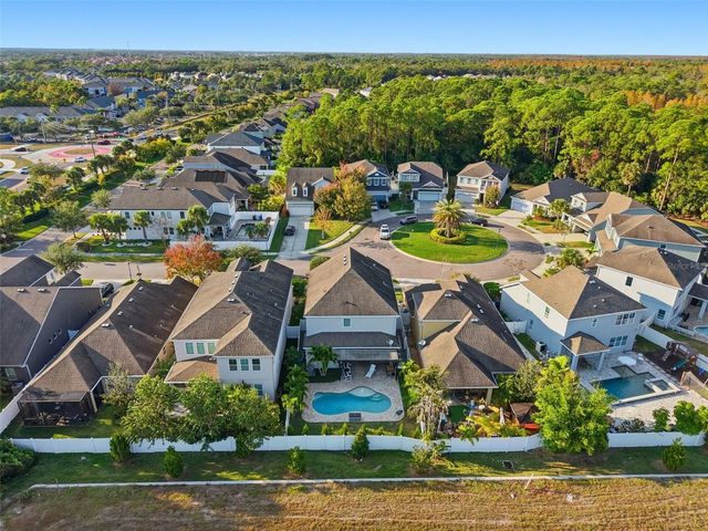 8113 CHAMPIONS FOREST WAY, Tampa, FL 33635