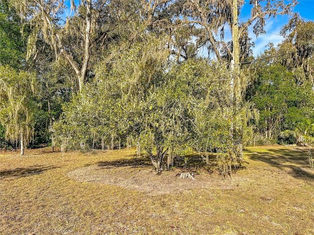 19037 RAVENSWOOD ROAD, Altoona, FL 32702