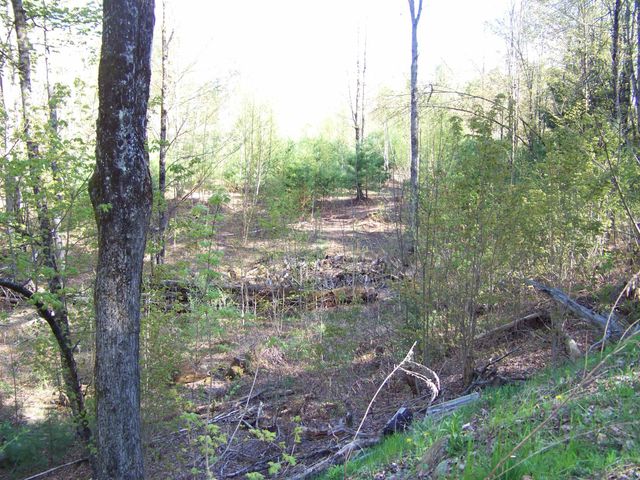 324 Sunrise Road, Bethel, VT 05032