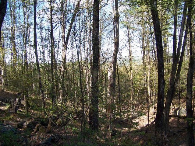 324 Sunrise Road, Bethel, VT 05032