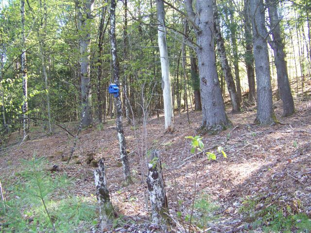 324 Sunrise Road, Bethel, VT 05032
