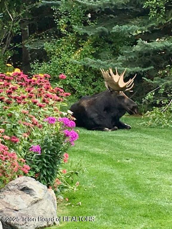 1415 N SECOND Street, Wilson, WY 83014 photo 41