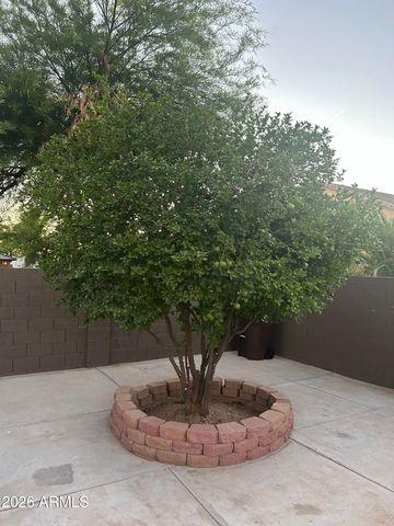 36582 W EL GRECO Street, Maricopa, AZ 85138