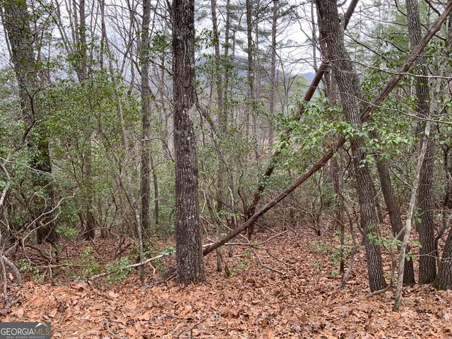0 Prospectors Place, Sautee Nacoochee, GA 30571
