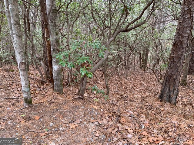 0 Prospectors Place, Sautee Nacoochee, GA 30571