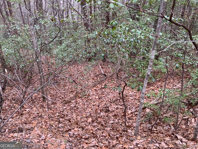 0 Prospectors Place, Sautee Nacoochee, GA 30571