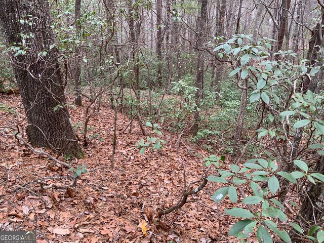 0 Prospectors Place, Sautee Nacoochee, GA 30571