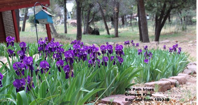 6405 W PINE CONE Trail, Pine, AZ 85544