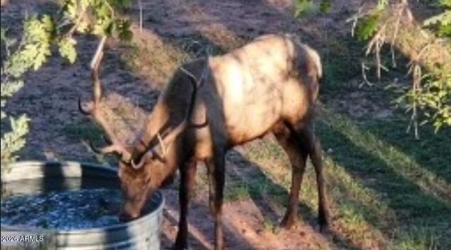 6405 W PINE CONE Trail, Pine, AZ 85544