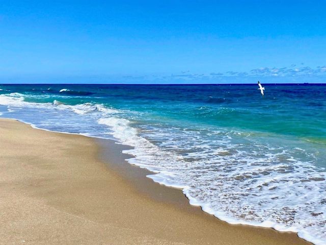 3605 S Ocean Boulevard 229, South Palm Beach, FL 33480