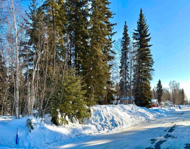 92 D STREET, Fairbanks, AK 99701