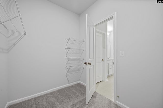 110 Monroe Preserve Drive, Chapin, SC 29036