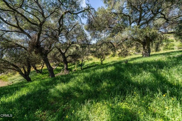 4700 Rising Hill, Altadena, CA 91001