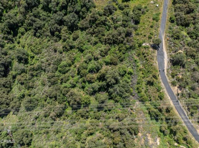 4700 Rising Hill, Altadena, CA 91001