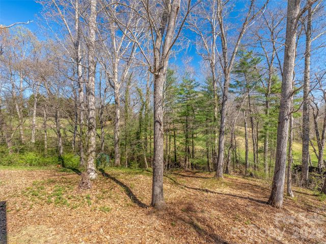 6 Jackson Cove Road, Leicester, NC 28748