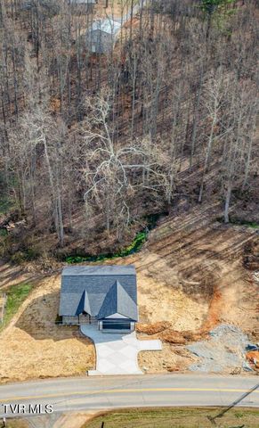 173 Hall Road, Jonesborough, TN 37659