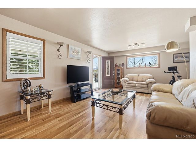 10 Marshal Duggan Dr, Leadville, CO 80461