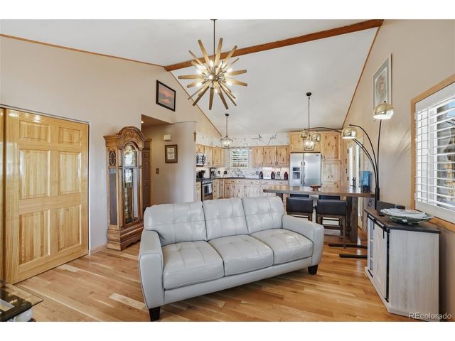 10 Marshal Duggan Dr, Leadville, CO 80461