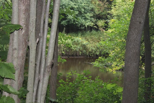 14984 135th Street, Foreston, MN 56330