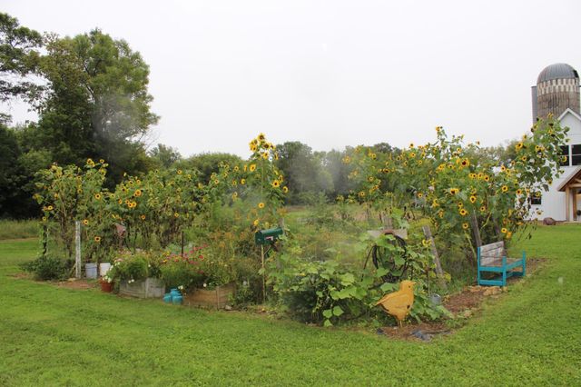 14984 135th Street, Foreston, MN 56330