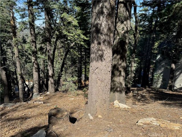 26537 Spyglass, Lake Arrowhead, CA 92352