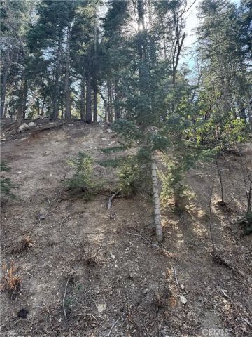 26537 Spyglass, Lake Arrowhead, CA 92352
