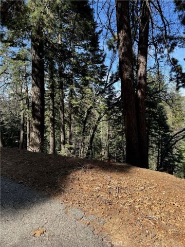 26537 Spyglass, Lake Arrowhead, CA 92352